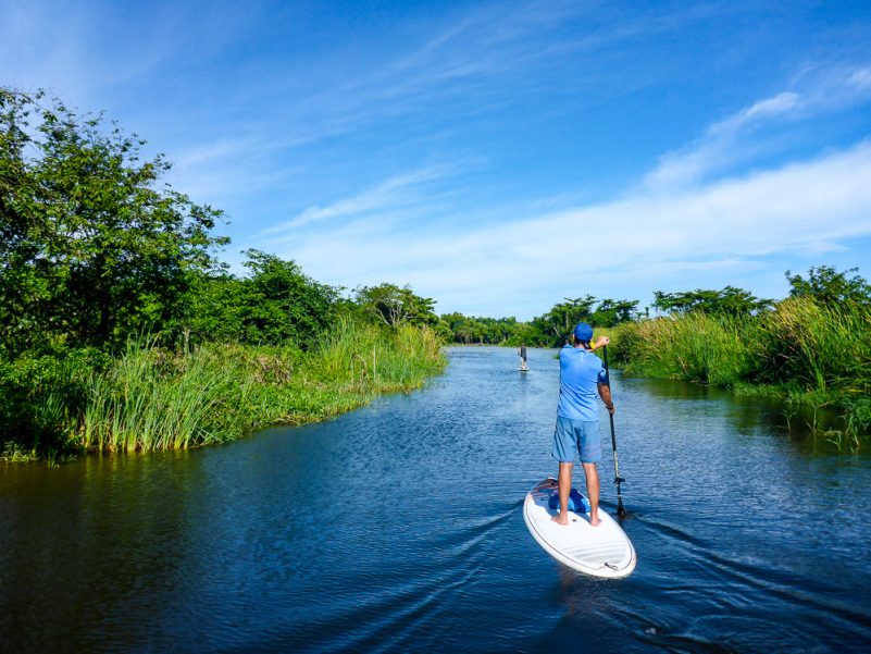 SUP Flusstour (Foto: J. Rott)